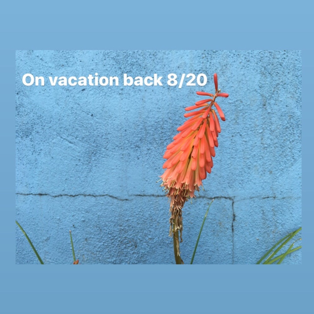 Vacation - image 1